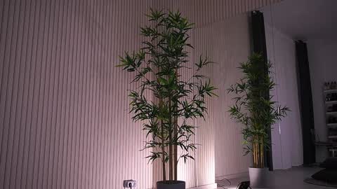 Snapshot of abbela_white chatting on 01-23-25, 09:39 Alexa online show from 01-23-25, 09:39