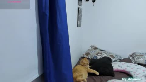 Snapshot of abby_saenz01 chatting on 10-18-25, 11:27 Abby Saenz online show from 10-18-25, 11:27