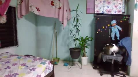 Abby online show from 02-03-25, 12:36