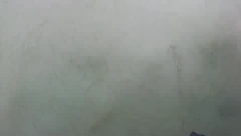 abella677022 online show from 02-16-26, 08:16