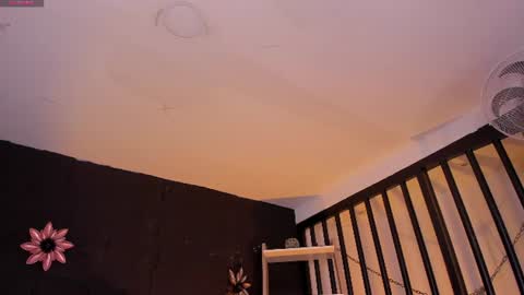 abi_sexxx1 online show from 07-02-26, 04:29