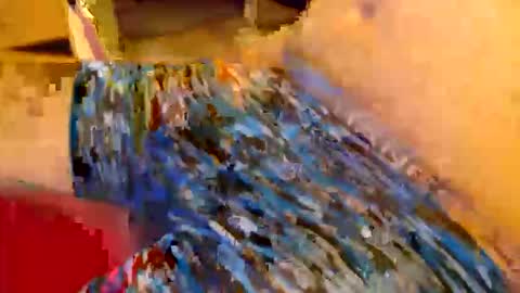 abigspermdonor online show from 01-13-26, 01:11