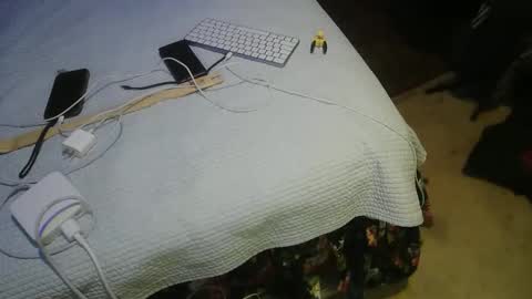 aCACiAs2022 online show from 03-16-26, 02:17