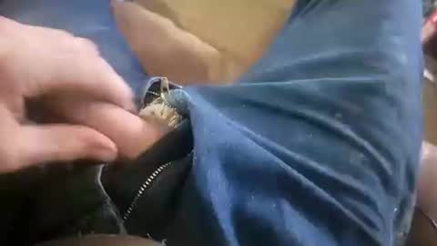 Snapshot of acemcdade chatting on 01-19-25, 08:51 Ace online show from 01-19-25, 08:51