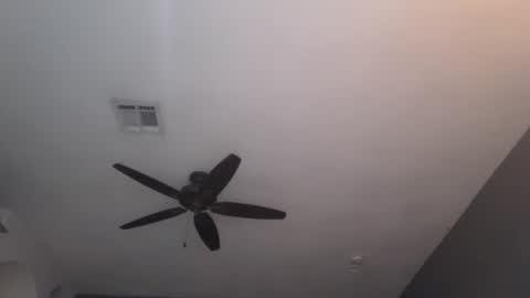 Snapshot of acs995 chatting on 01-23-25, 12:04 OF online show from 01-23-25, 12:04