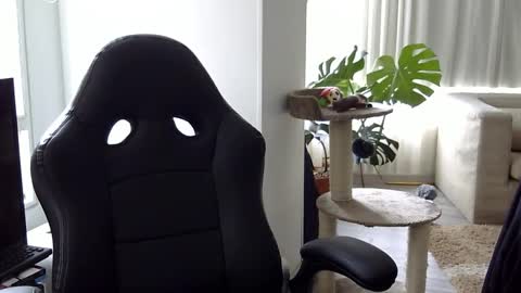 adam_evehotroom online show from 10-15-25, 08:20