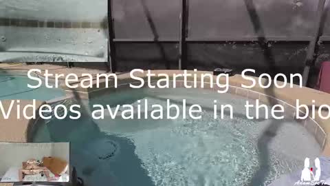 Snapshot of adamevetv chatting on 03-02-25, 03:27 Adam And Eve online show from 03-02-25, 03:27