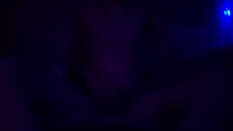 Snapshot of adamllamas chatting on 12-30-24, 05:48 adamllamas online show from 12-30-24, 05:48