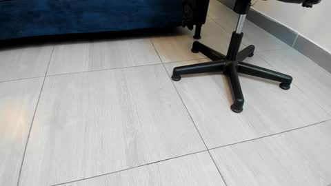 adbel sady online show from 12-27-24, 11:06