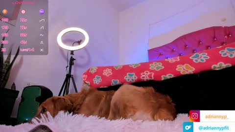 adrianny online show from 09-18-25, 01:18