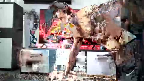 Adriano online show from 12-28-24, 08:58