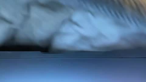 Snapshot of agentactionjackson chatting on 01-08-25, 04:34 Agent Action Jackson online show from 01-08-25, 04:34