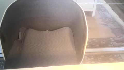 Ole online show from 01-10-25, 09:34