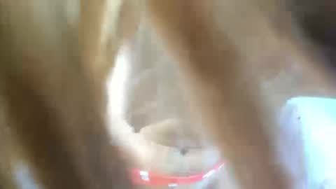 Snapshot of aisha_violeht chatting on 02-25-26, 02:37 aisha_violeht online show from 02-25-26, 02:37