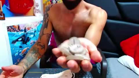 akiles online show from 06-11-26, 11:58