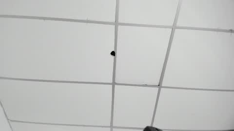 akiraht online show from 11-01-25, 08:00