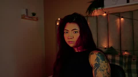  Alaia  online show from 12-22-25, 11:40