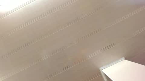 Snapshot of alana_madison chatting on 12-28-24, 11:09 Maeve online show from 12-28-24, 11:09