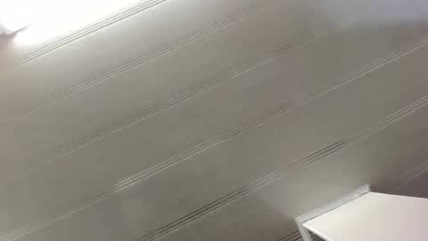 Snapshot of alana_madison chatting on 12-29-24, 10:45 Maeve online show from 12-29-24, 10:45