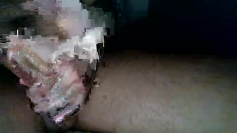 aldous_fuxley online show from 02-20-26, 06:48