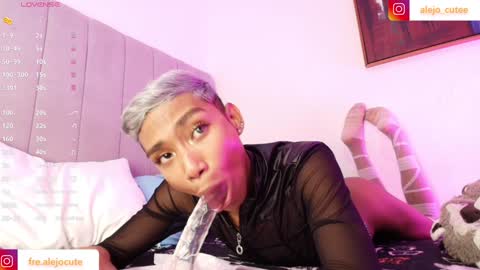 alejo_cute online show from 12-29-24, 11:18