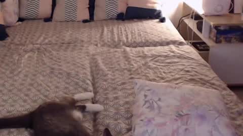 Sandra online show from 02-28-25, 02:20