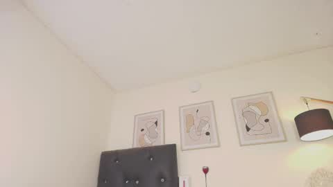 Snapshot of alex4diaz chatting on 01-13-25, 06:49 Alexa online show from 01-13-25, 06:49