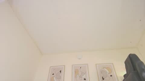 Snapshot of alex4diaz chatting on 01-29-25, 10:11 Alexa online show from 01-29-25, 10:11