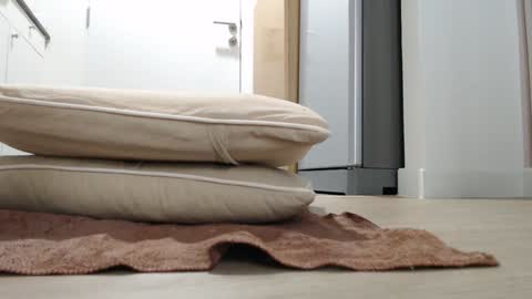 Snapshot of alex_nicha chatting on 10-18-25, 03:20 Nicha online show from 10-18-25, 03:20