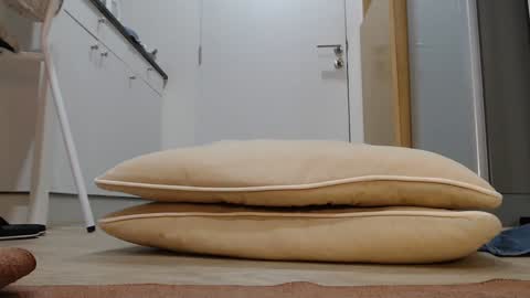 Snapshot of alex_nicha chatting on 11-05-25, 03:06 Nicha online show from 11-05-25, 03:06