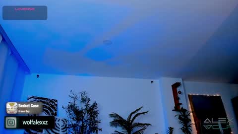 Alex Wolf online show from 01-17-25, 05:21