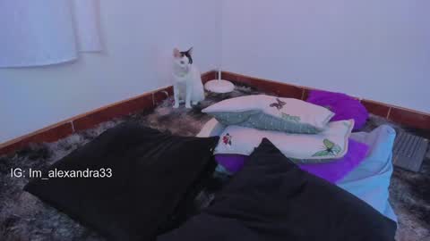 Snapshot of alexa_will chatting on 03-31-26, 02:13 alexa_will online show from 03-31-26, 02:13