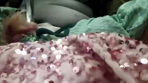 alexis0007754689 online show from 01-06-26, 07:39