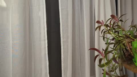 ali500886 online show from 03-30-26, 05:52