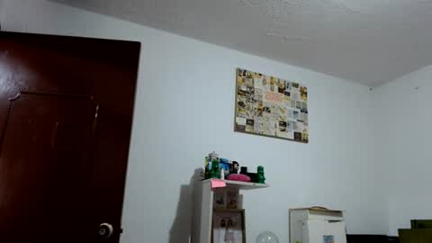 Snapshot of alia054 chatting on 06-27-26, 12:44 Alia online show from 06-27-26, 12:44