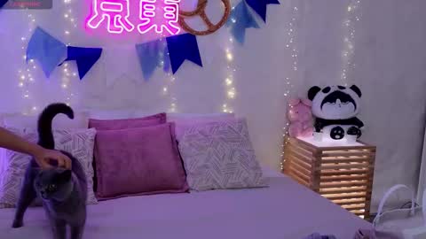 Snapshot of alice_charmy chatting on 09-29-25, 05:23 Alice in Wonderland online show from 09-29-25, 05:23