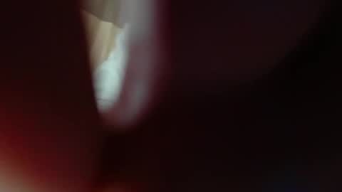 bigclit daddy squirt bigdildo fit online show from 11-08-25, 06:02