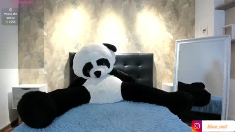 Snapshot of alice_rose5 chatting on 10-06-25, 03:37 Alice online show from 10-06-25, 03:37