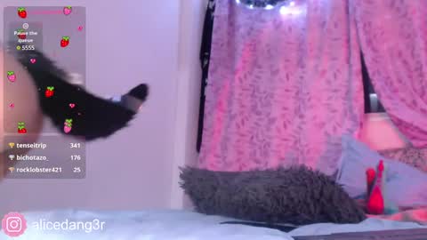 Snapshot of alicedang3r chatting on 12-15-24, 05:13 Alice online show from 12-15-24, 05:13