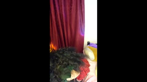 Alicekingdom online show from 02-08-26, 12:03