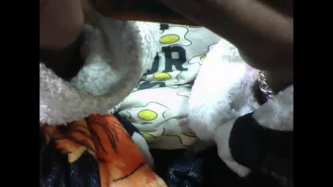 Snapshot of alicia253177 chatting on 09-10-25, 06:30 alicia253177 online show from 09-10-25, 06:30