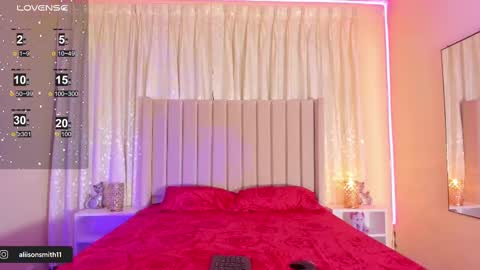 Snapshot of aliison_smith chatting on 02-14-25, 02:50 Alisson online show from 02-14-25, 02:50