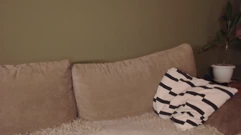 alisaxxxshy online show from 02-03-26, 06:40