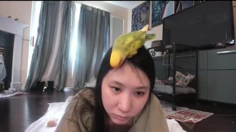 Alize Zaide online show from 02-06-26, 08:34