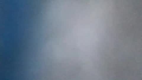all_most_sane online show from 08-08-26, 03:03