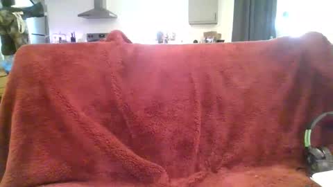 alliebearx online show from 03-03-25, 09:26