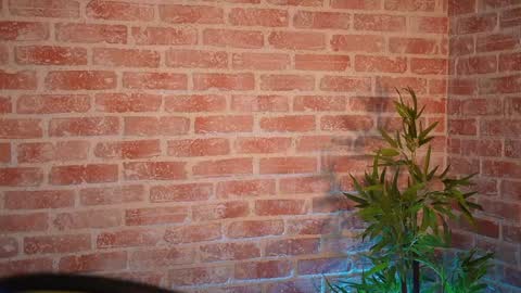 Snapshot of alliesynns chatting on 12-21-24, 09:01 Allie online show from 12-21-24, 09:01