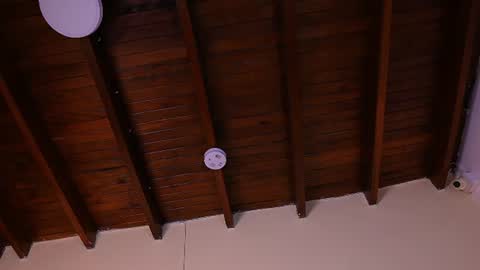 Snapshot of allisson_m chatting on 06-29-26, 12:16 allisson online show from 06-29-26, 12:16