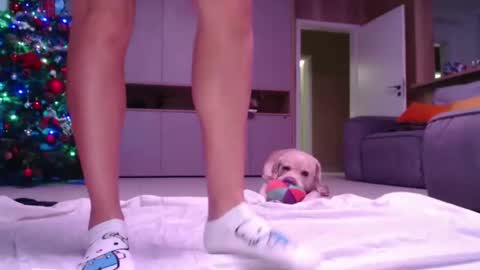 allissonhotbb online show from 12-15-24, 07:21