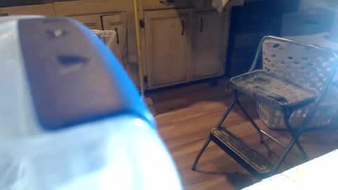 allwolf0323 online show from 04-06-26, 06:03